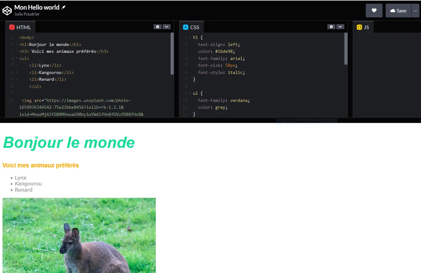 Capture d'écran CodePen avec code HTML et CSS. On voit la zone de codage avec le code et l'aperçu du résultat du site web.